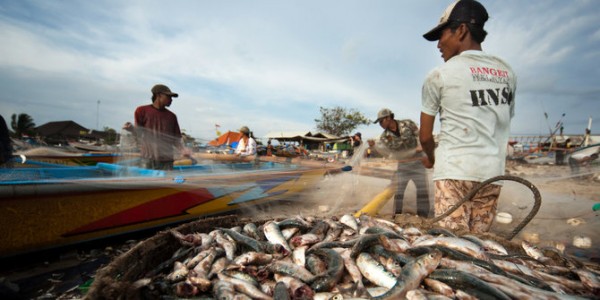 KEMISKINAN MASYARAKAT NELAYAN SIKAKAP PEMICU KERUSAKAN EKOSISTEM WILAYAH PESISIR