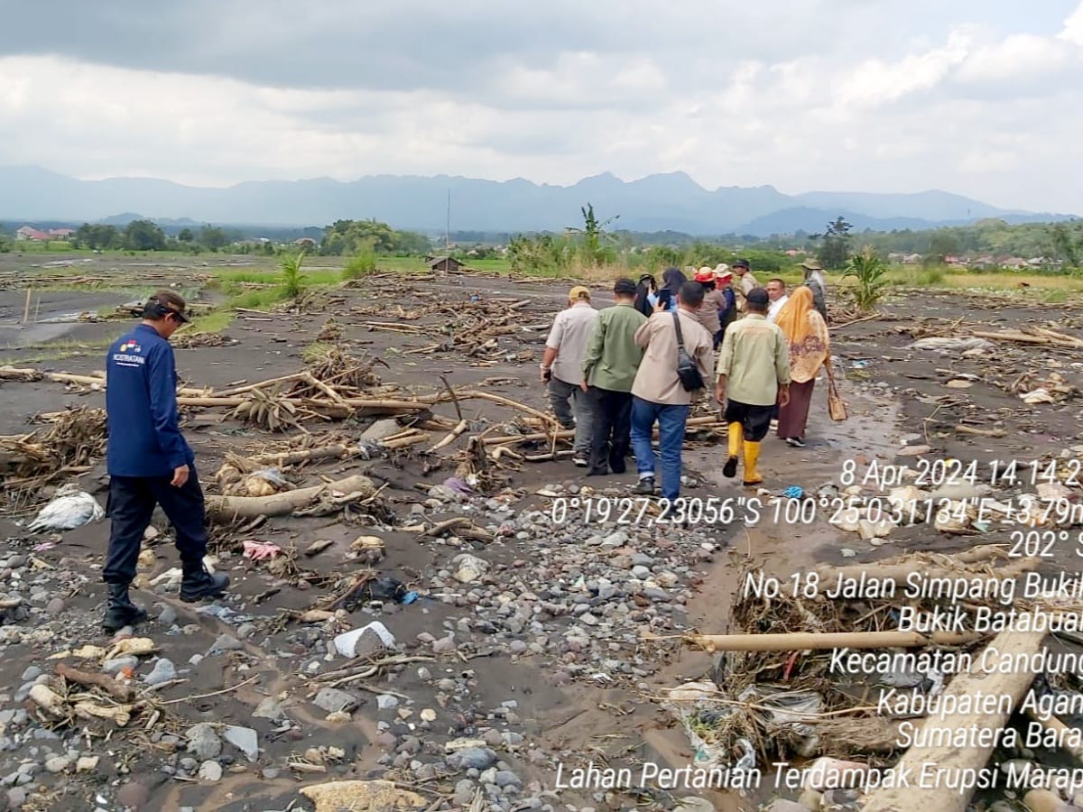 Respon Surat Gubernur Sumbar, Mentan Kirim Tim Tinjau Daerah Terdampak Erupsi Marapi