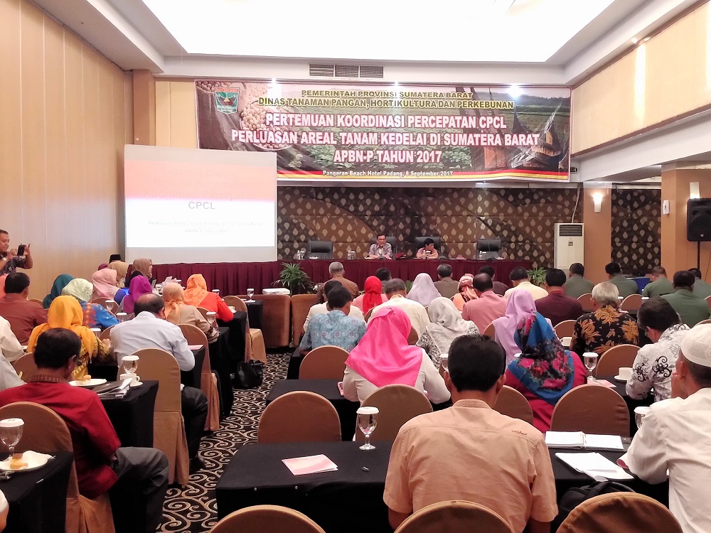 Tanam Kedelai di Lahan Jagung