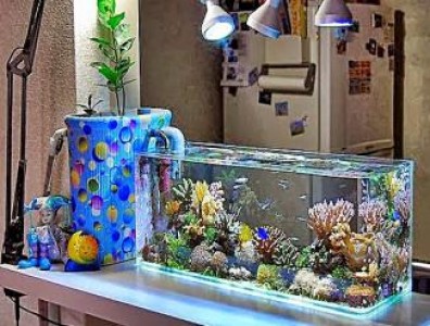 Manfaat Ikan Hias