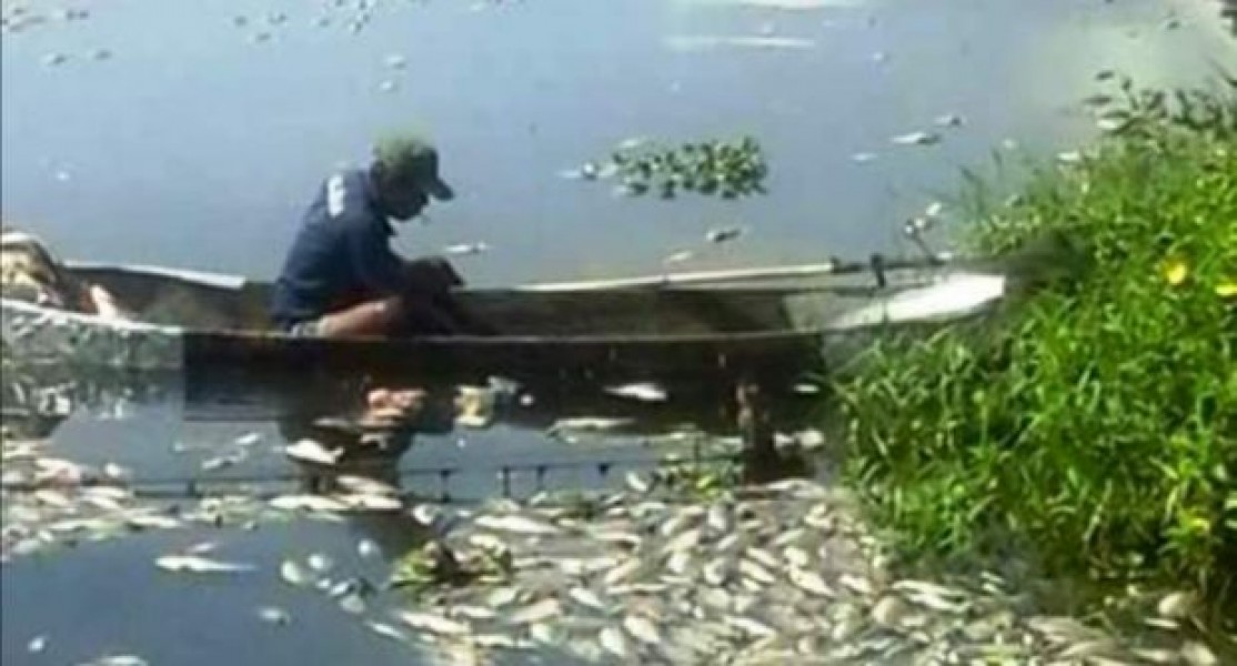 Penataan Kawasan Danau Maninjau, Keramba Akan Dikurangi