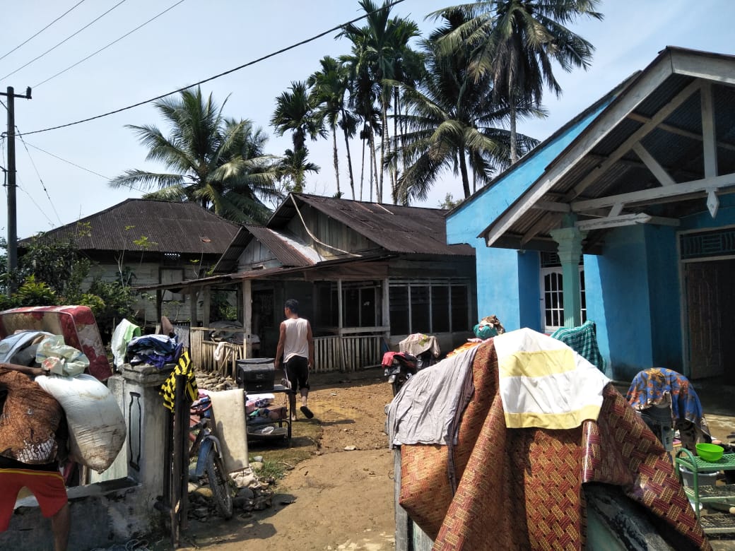 Hujan Lebat, Akibatkan Abrasi Pantai, Pohon Tumbang Dan Longsor Terjadi Di Pessel