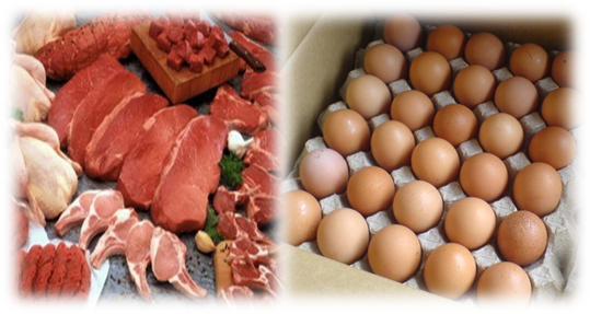 Informasi Harga Daging Sapi, Telur Ayam dan Daging Ayam 