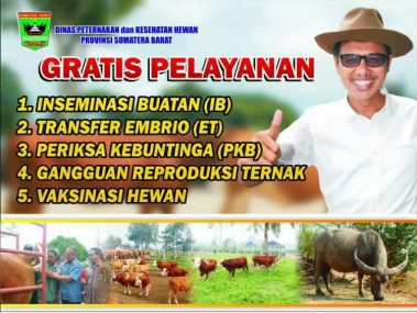 PELAYANAN GRATIS