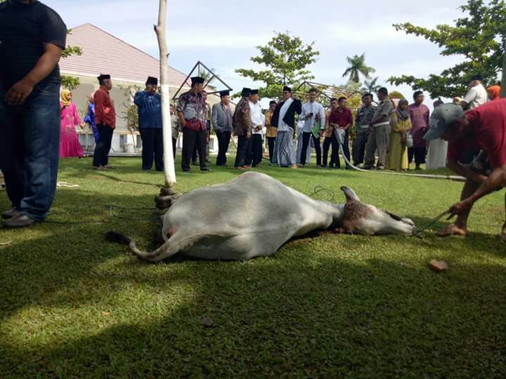 Daging Qurban Dari Gubernuran dibagikan ke masyarakat  kurang mampu di Sumbar