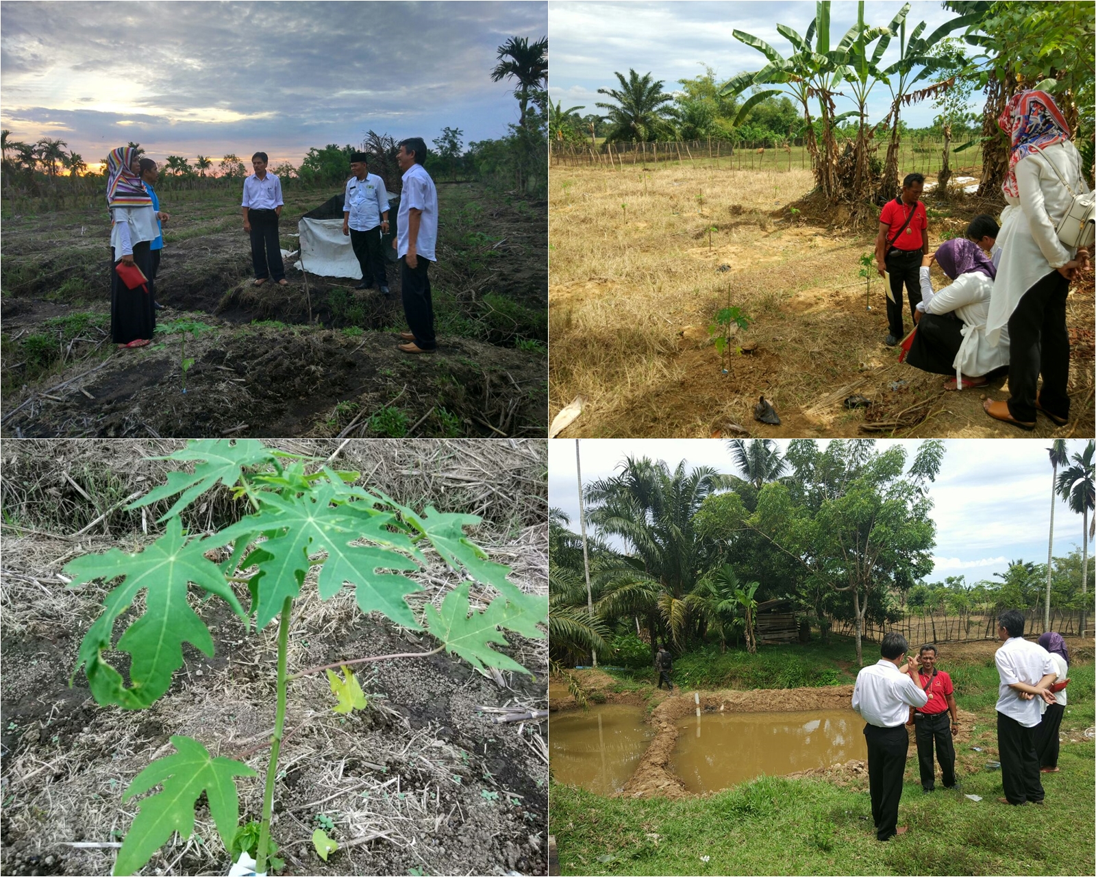 Monitoring dan Evaluasi ke Lokasi Nagari Mandiri Pangan Kab. Pesisir Selatan