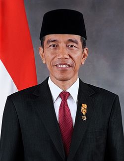 Pernyataan Presiden Joko Widodo Terkait Aksi Kekerasan dan Krisis Kemanusiaan di Rakhine State