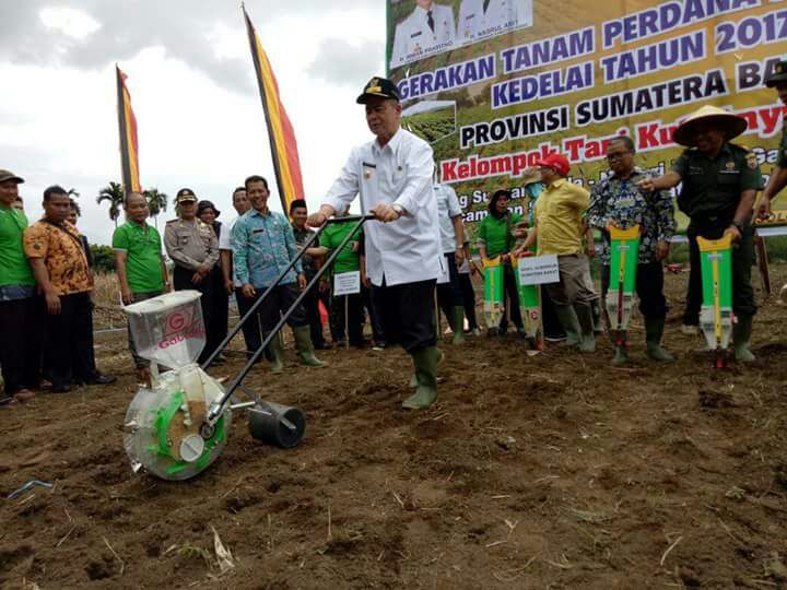 Wagub canangkan  tanam kedelai serentak