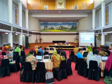 Aula Kantor Bupati : Pendampingan Input Data RUP OPD TA. 2019