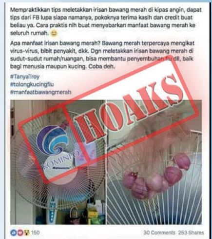 [Hoax] Manfaat Bawang Merah Dapat Menyerap Virus