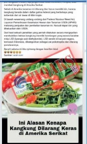 [Hoax] Kangkung Dilarang Keras Di Amerika Serikat