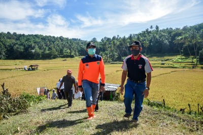 Pemko Sawahlunto Upayakan Sawah Tadah Hujan Segera Dialiri Irigasi, PT. Bukit Asam Bantu Pompa Irigasi Tenaga Surya