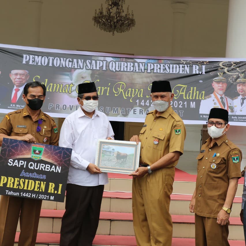 Sapi Qurban Jokowi Diserahkan Gubernur ke Pengurus Masjid Raya Sumbar