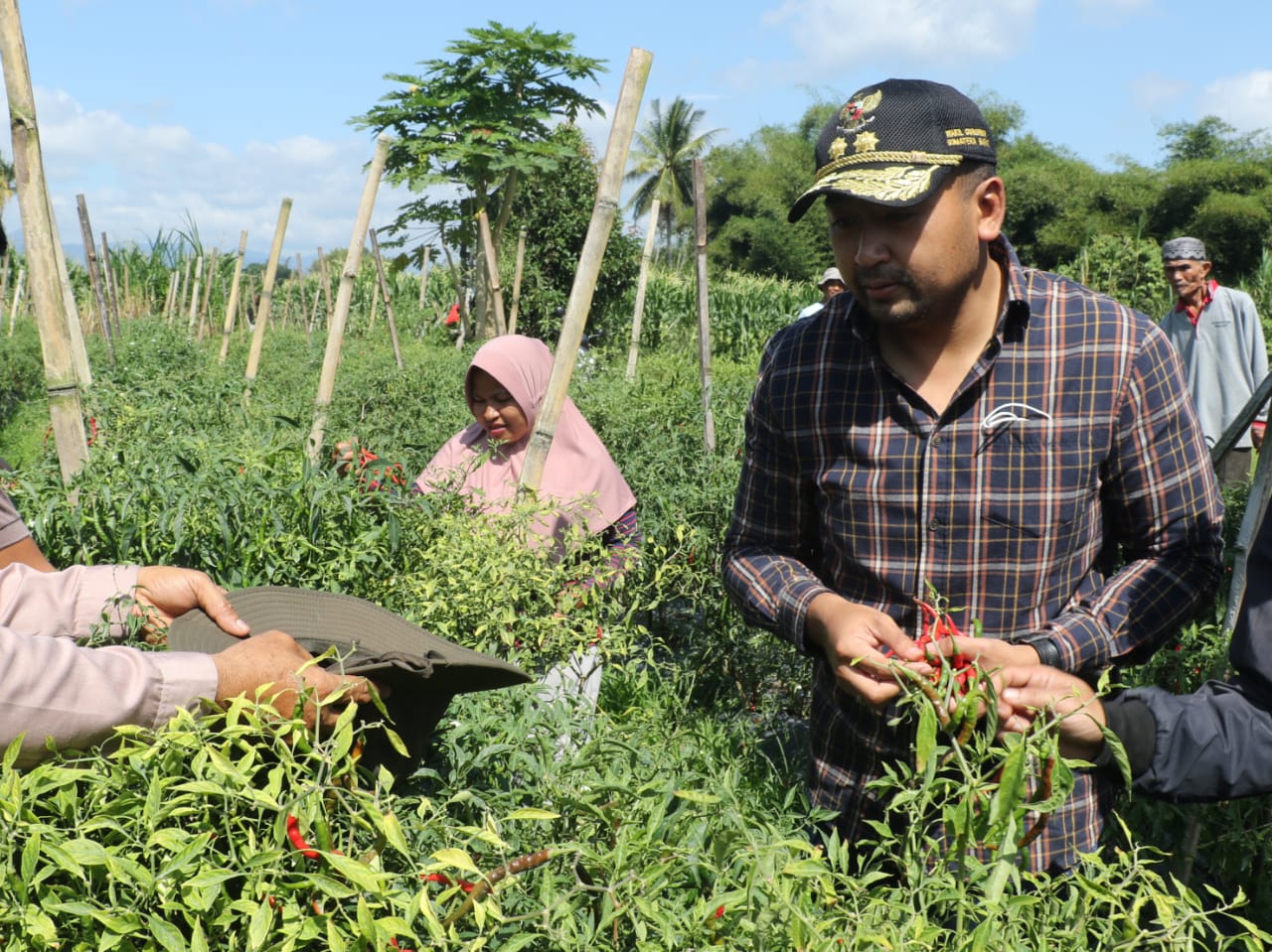 Audy Joinaldy Dorong Kelompok Tani Berkolaborasi Bangun Sistem Pertanian Terpadu