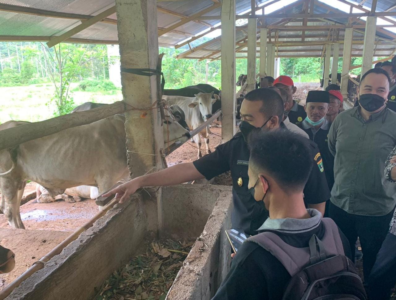 Dorong Peningkatan Produksi, Wagub Audy Bagikan Tips Peternakan di 