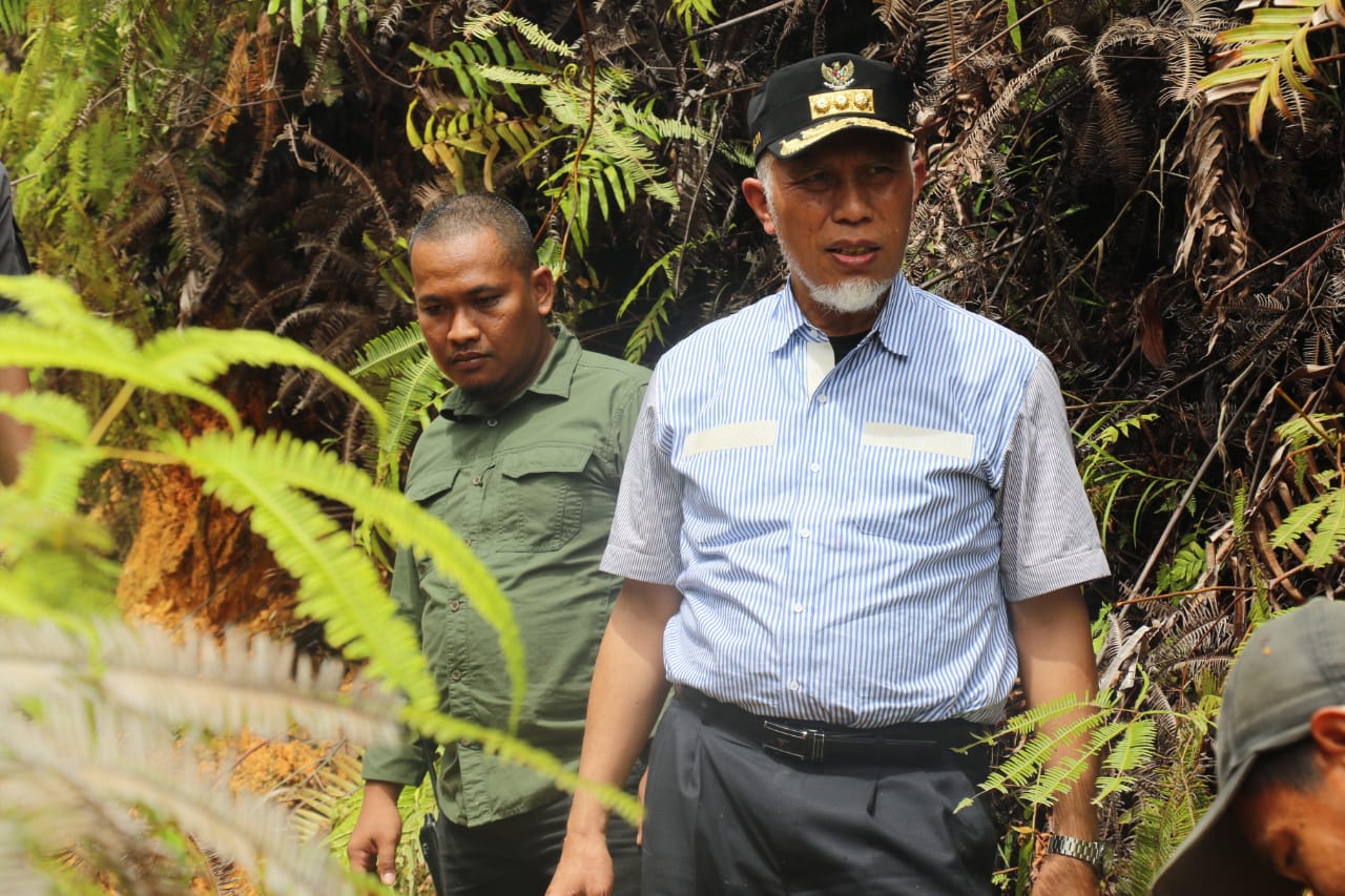 Gubernur Sumbar: Infrastruktur Jalan Teluk Tapang Agar Segera Dituntaskan