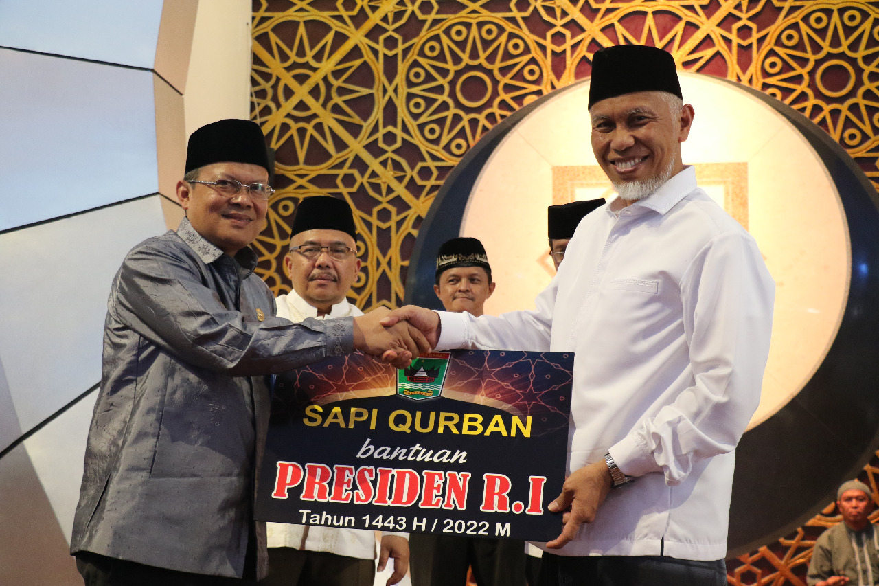 Gubernur Sumbar Salurkan Bantuan Sapi Qurban Presiden RI Seberat 864 Kilogram