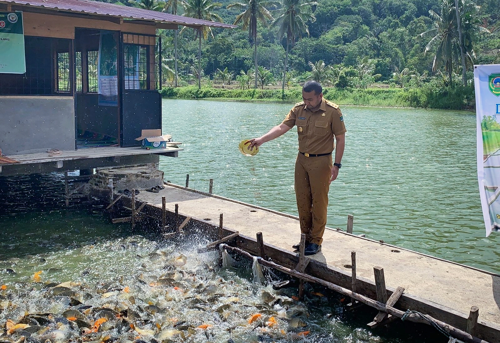 Dari Hulu Hingga Hilir, Wagub Audy Tinjau Potensi Perikanan Air Tawar Pasaman