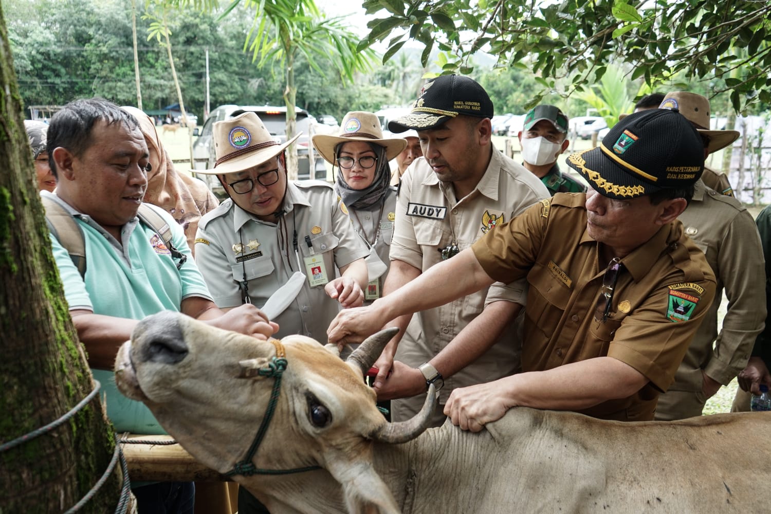 Cegah PMK, Sumbar Lakukan Percepatan Vaksinasi