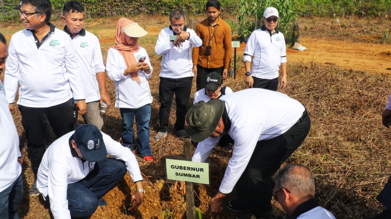 Tanam 1000 Pohon di Kebun Percobaan Unand, Gubernur Tracking bersama Mahasiswa