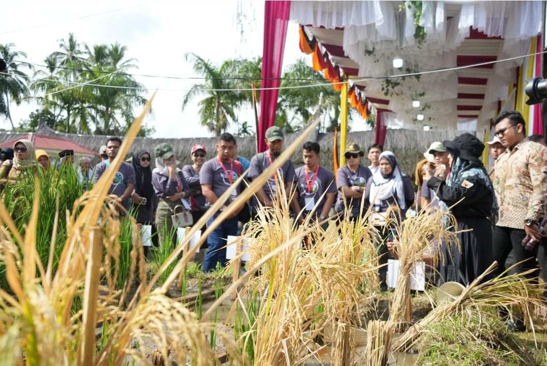 Field Trip ke Sirukam dan Tanah Datar, Petani Milenial ASEAN Antusias Pada Teknologi Padi Salibu 